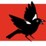 Union Communiste Libertaire